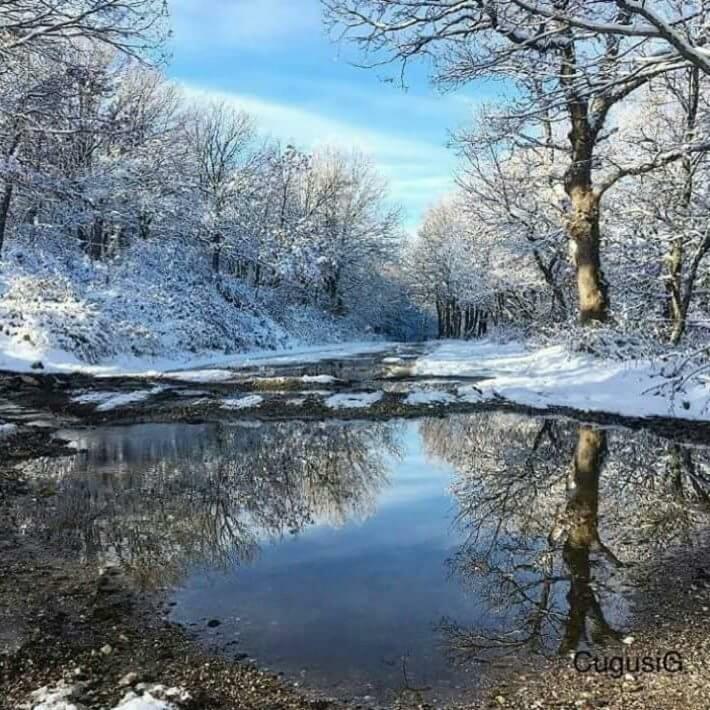 B&B Gennargentu Fonni Buitenkant foto
