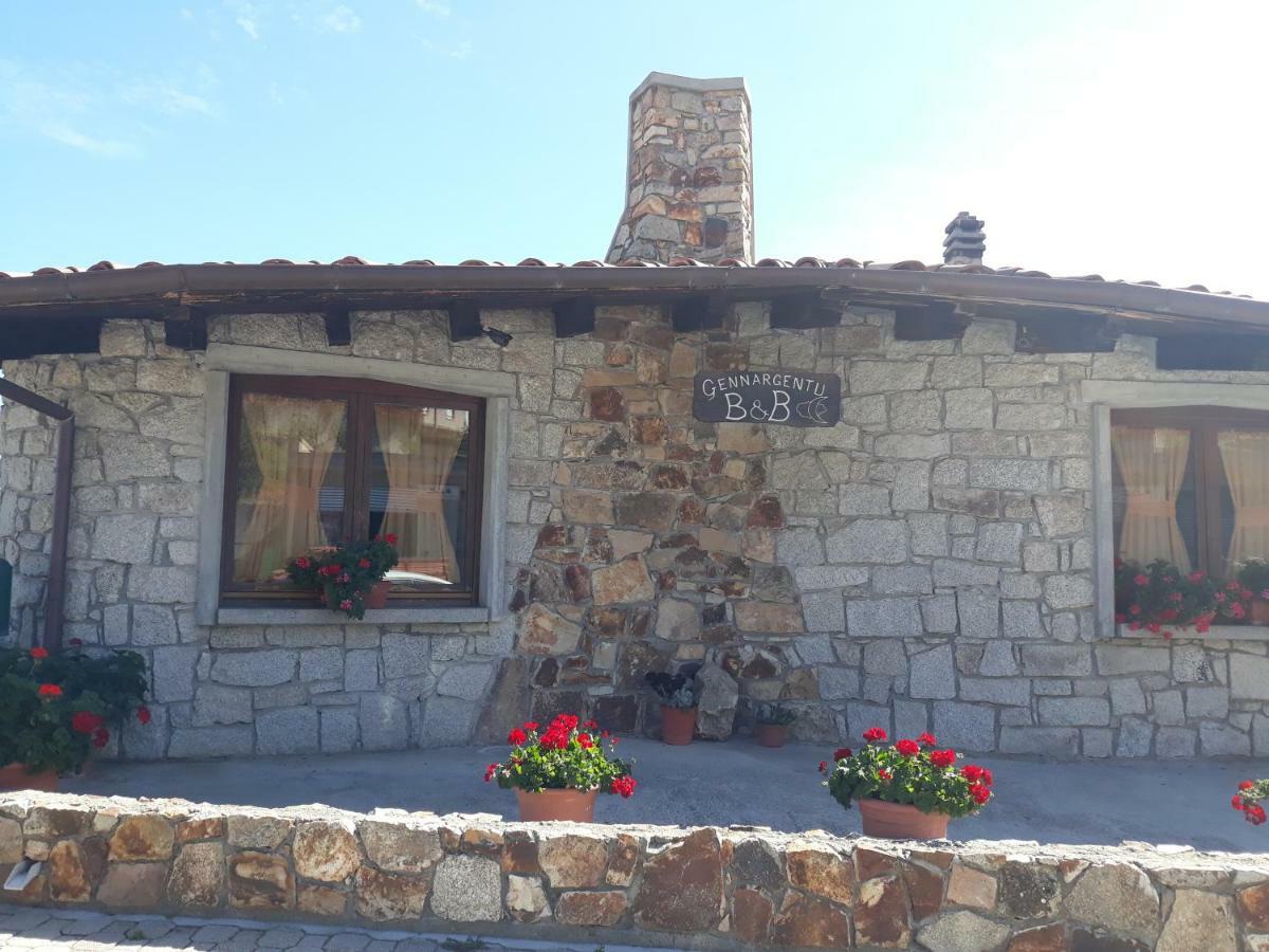 B&B Gennargentu Fonni Buitenkant foto